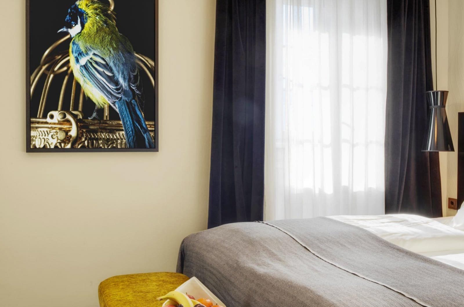 Hotel Grauer Bär — fotografia 3