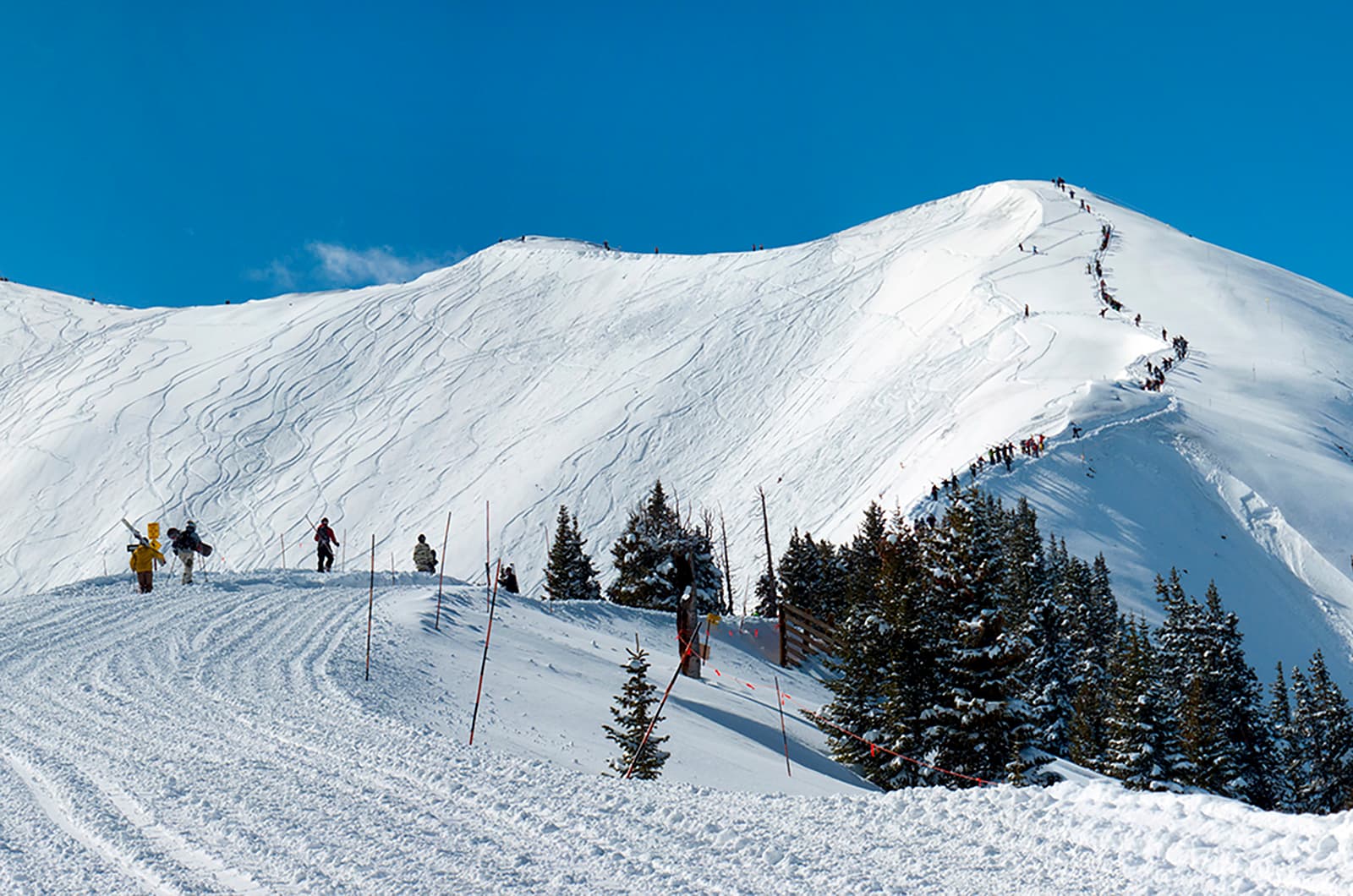 Aspen
