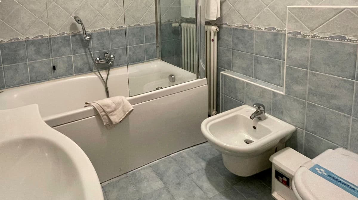 Hotel Edelweiss, imagem 5